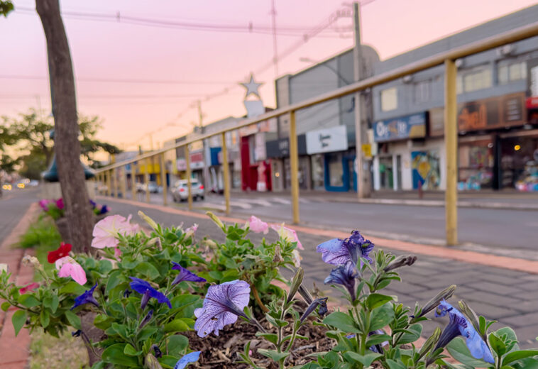 Branding para empresas de Assis Chateaubriand: como construir autoridade em vídeo
