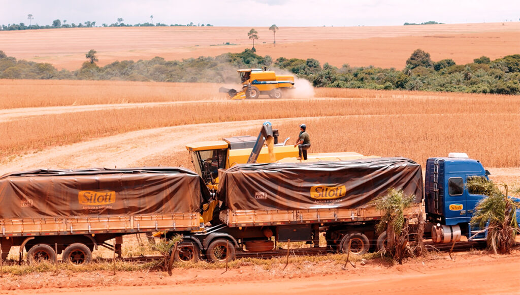 Safra de soja em Brasilândia do Sul - bastidores da colheita com vídeos profissionais em Assis Chateaubriand PR