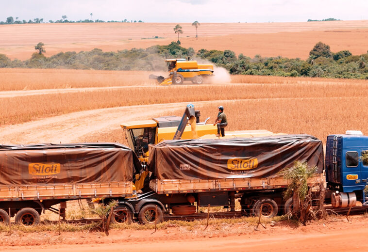Safra de soja em Brasilândia do Sul: bastidores da colheita com vídeos profissionais em Assis Chateaubriand PR