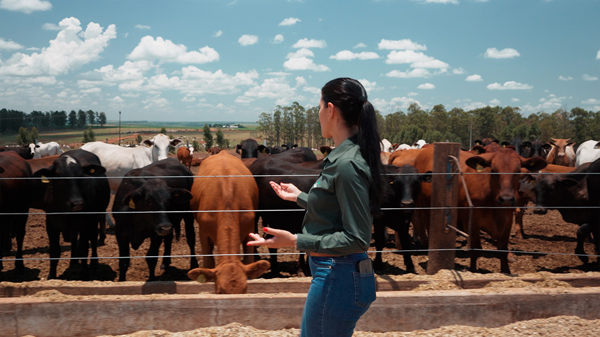 Tráfego pago para agro e indústria na região
