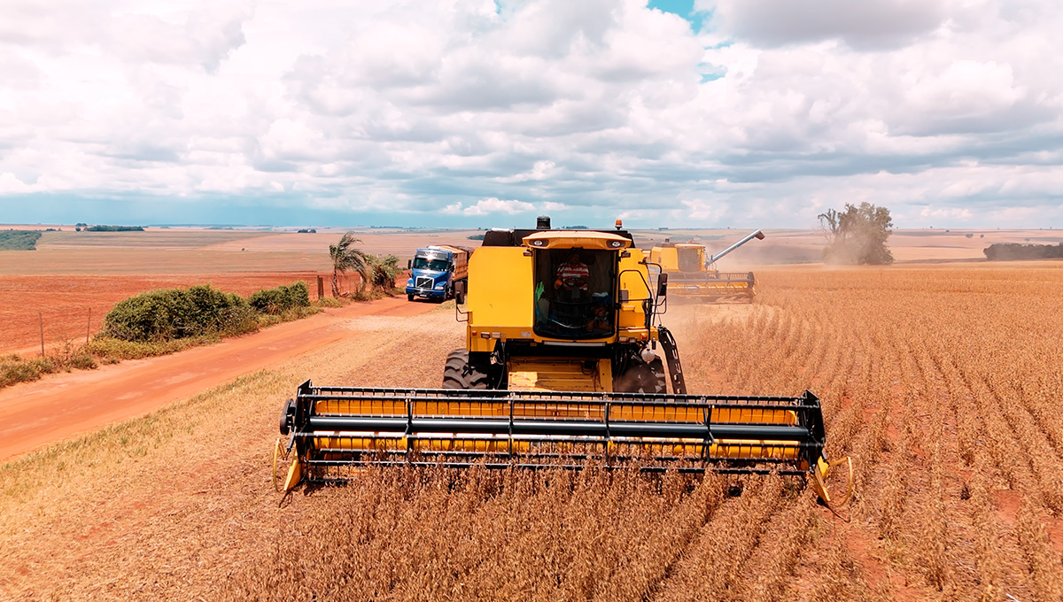 bastidores da colheita com vídeos profissionais