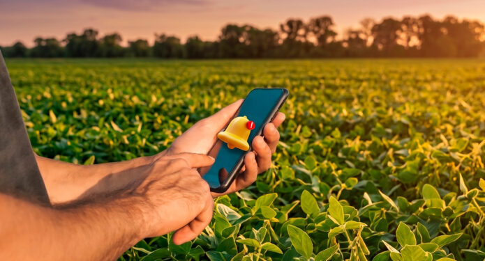 Acendeu o Alerta: O Produtor Mudou e Quem Não Se Posicionar no Digital Vai Virar Refém de Preço