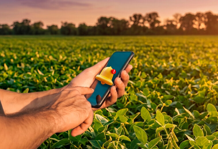 Acendeu o Alerta: O Produtor Mudou e Quem Não Se Posicionar no Digital Vai Virar Refém de Preço