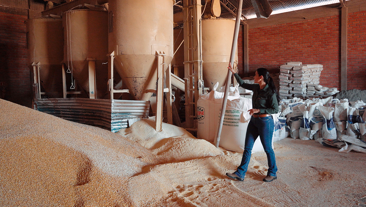 Quanto custa contratar um influenciador do agro em 2026