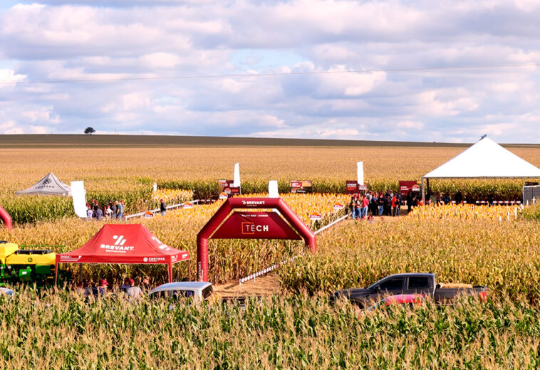 Dia de Campo Brevant Tech reúne produtores em Assis Chateaubriand, e destaca lançamento de híbrido de milho
